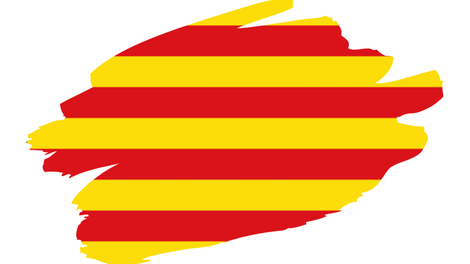 Miniatura del curso de catalán online en español, curso de la lengua catalana en Udemy desde cualquier parte del mundo.